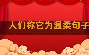 人们称它为温柔句子成分