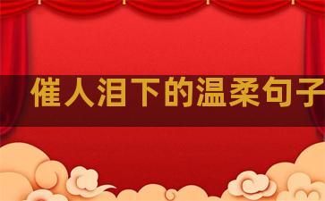 催人泪下的温柔句子说说