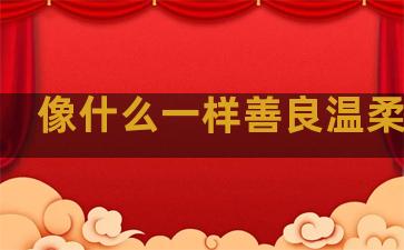 像什么一样善良温柔句子