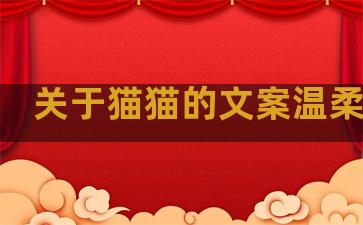 关于猫猫的文案温柔句子