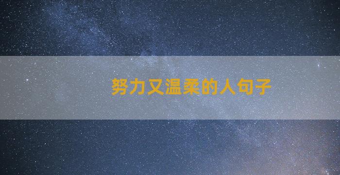 努力又温柔的人句子