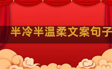 半冷半温柔文案句子简短
