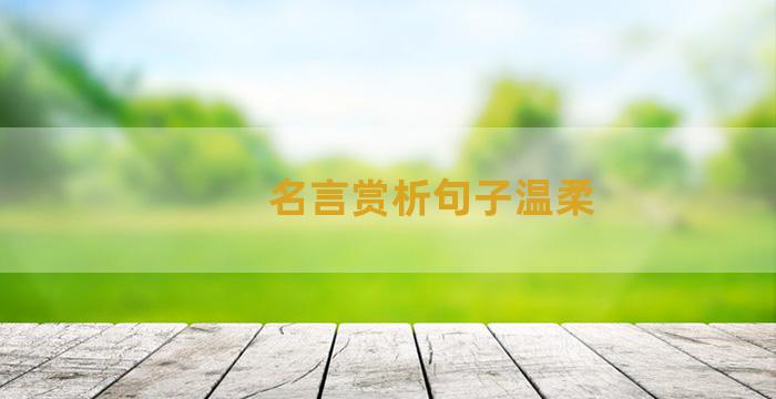 名言赏析句子温柔
