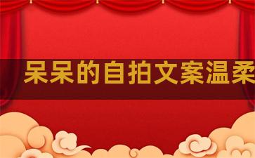 呆呆的自拍文案温柔句子