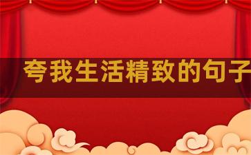 夸我生活精致的句子简短