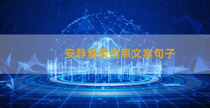 安静温柔拍照文案句子