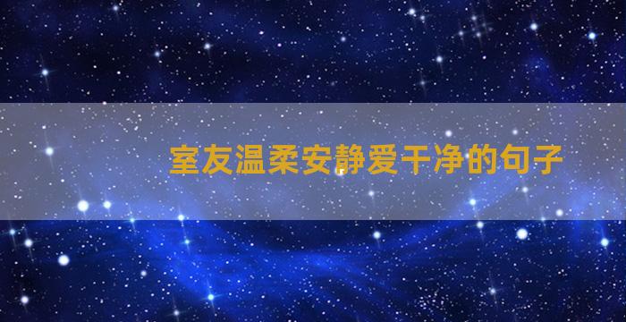 室友温柔安静爱干净的句子