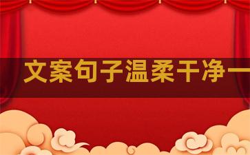 文案句子温柔干净一百字