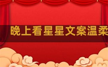 晚上看星星文案温柔句子