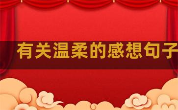 有关温柔的感想句子短句