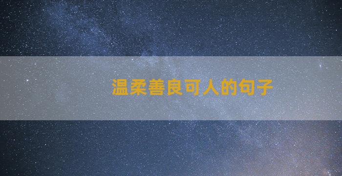 温柔善良可人的句子