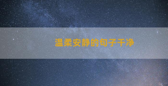 温柔安静的句子干净