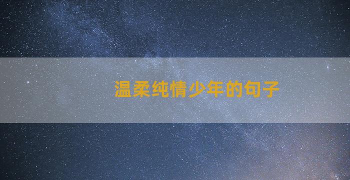 温柔纯情少年的句子