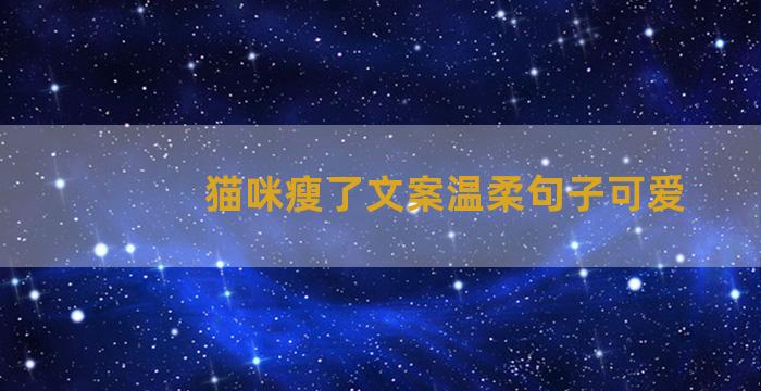 猫咪瘦了文案温柔句子可爱