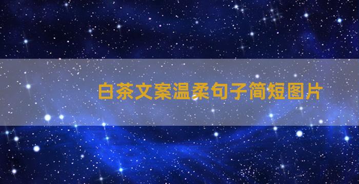 白茶文案温柔句子简短图片
