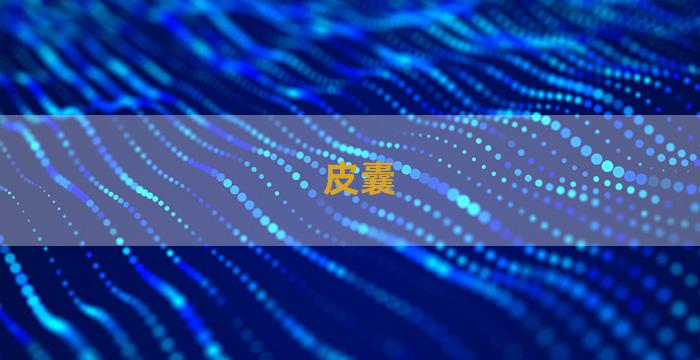 皮囊