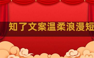 知了文案温柔浪漫短句子