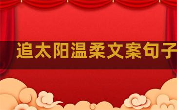 追太阳温柔文案句子伤感