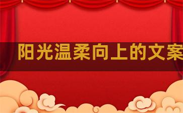 阳光温柔向上的文案句子